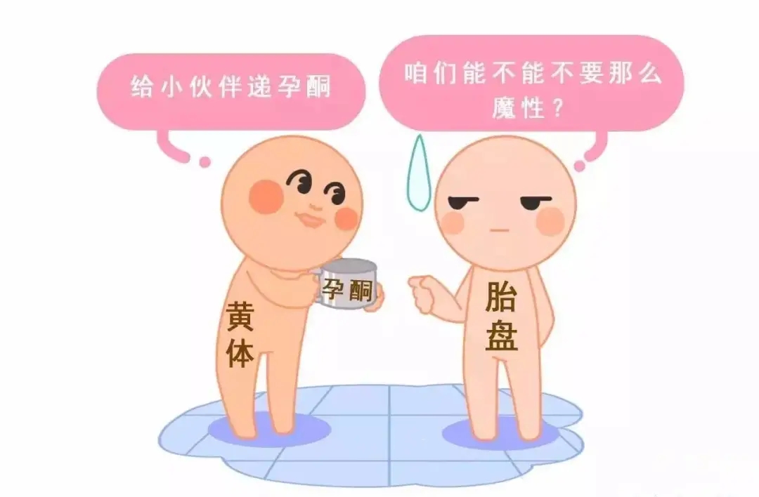 HCG和孕酮低一定會流產(chǎn)？備孕女性必須知道的孕早期“秘密”