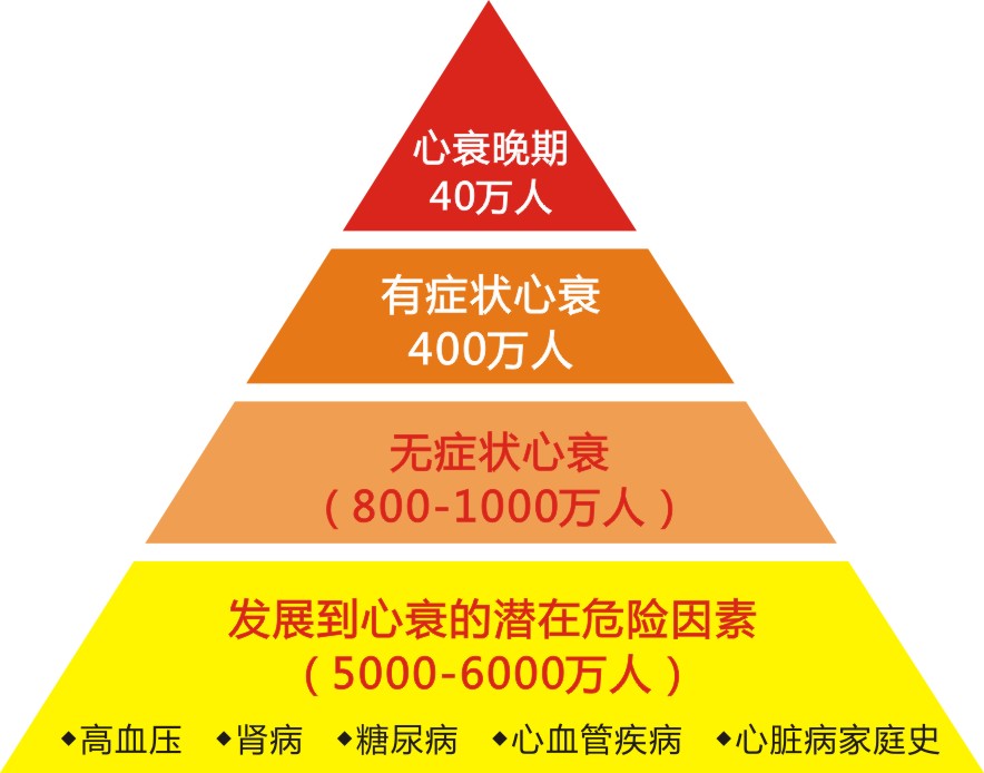 NT-proBNP怎么就成死亡預(yù)測(cè)因子?