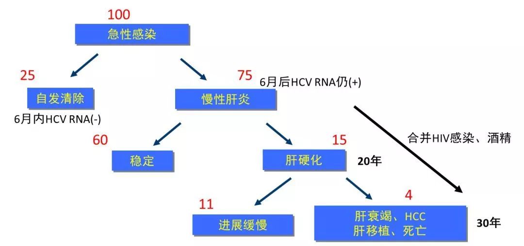 丙肝檢測(cè)的弱陽性究竟是不是感染了丙肝？