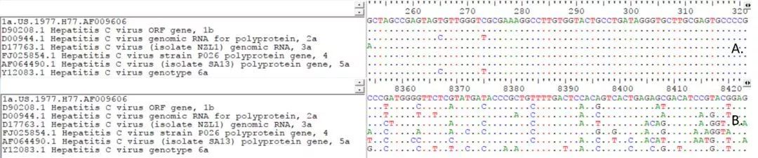 A.5’端非編碼區(qū)序列；B.NS5序列